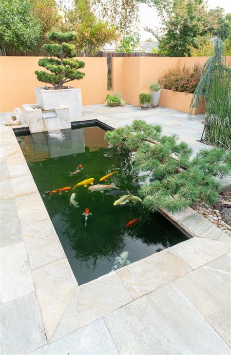 Custom Koi Pond Design Package - Sacramento Koi