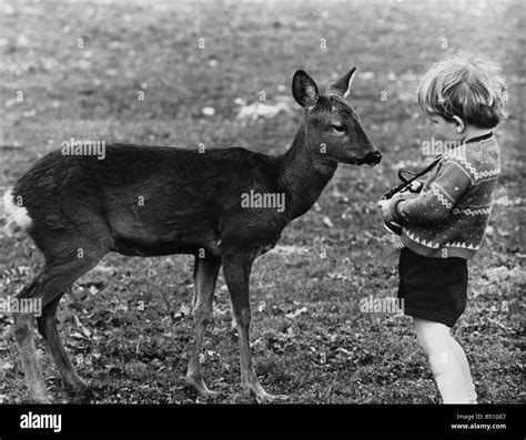 Closer Look Of Deer Hi Res Stock Photography And Images Alamy