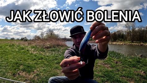 Jak złowić bolenia Sprzęt na bolenie Wędkarstwo spinningowe YouTube