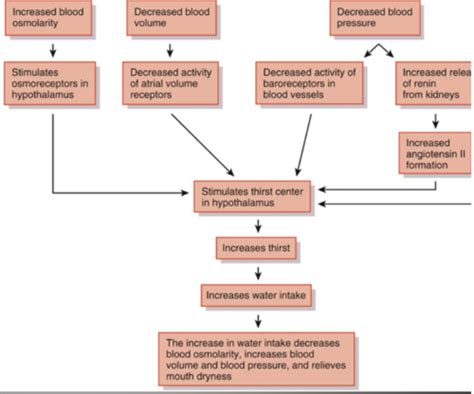 A P II Chapter 27 Fluid Electrolyte And Acid Base Homeostasis