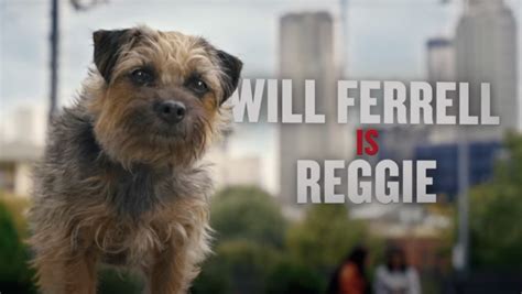 Strays Trailer Stars Will Ferrell as a Revenge-Seeking Terrier