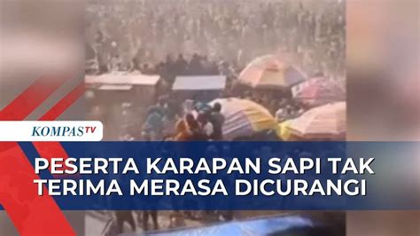 Lomba Karapan Sapi Piala Presiden Di Bangkalan Ricuh Tiga Orang