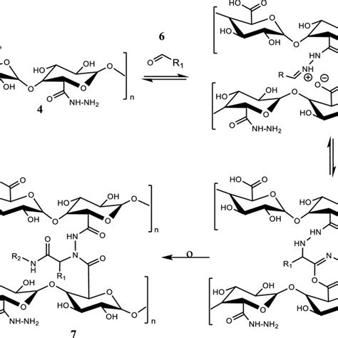 Mechanism of Ugi reaction for synthesis of cross-linked modified pectin ...