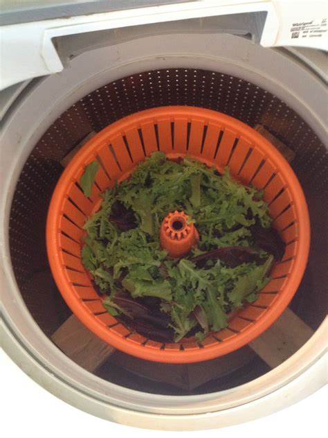 SOP for washing salad greens | UVM Produce Safety Portal