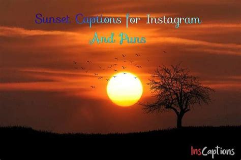 200+ Latest Best Sunset Captions For Instagram And Puns In 2021