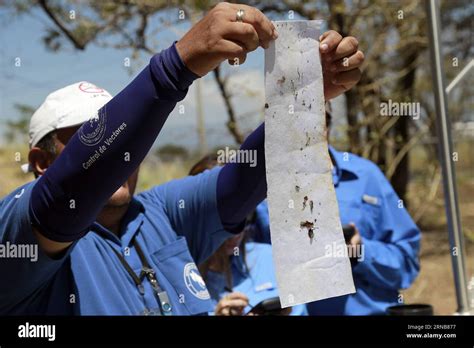 Des Employ S Du Minist Re De La Sant Du Costa Rica Inspectent Un Pi Ge