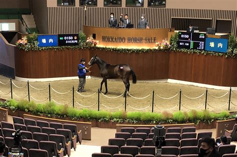 オータムs大盛況！（10月第4週 Jra重賞競走 三石産馬出走情報） Jaみついし