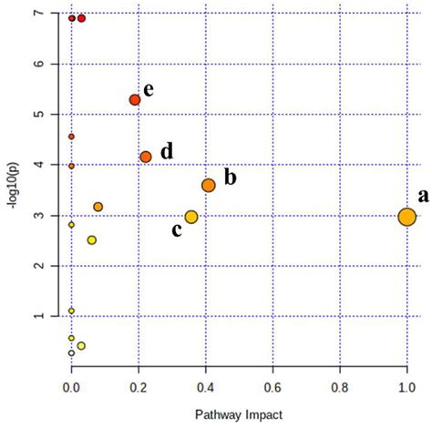 Summary Of The Metabolic Pathway Analysis And Their Impact On Pregnancy