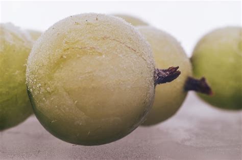 Premium Photo Beautiful Fresh Green Gooseberry Of Frozen Macro View