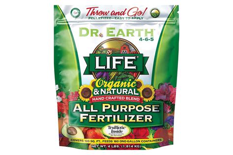 The 10 Best Fertilizers for Indoor Plants in 2024