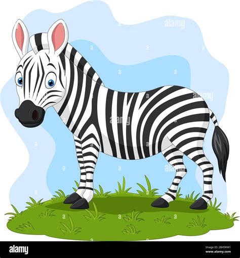 Cartoon Happy Zebra In The Grass Stock Vector Image And Art Alamy