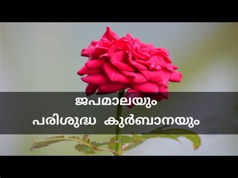 Sunday Mass Holy Mass Malayalam Syro Malabar Kurbana YouTube