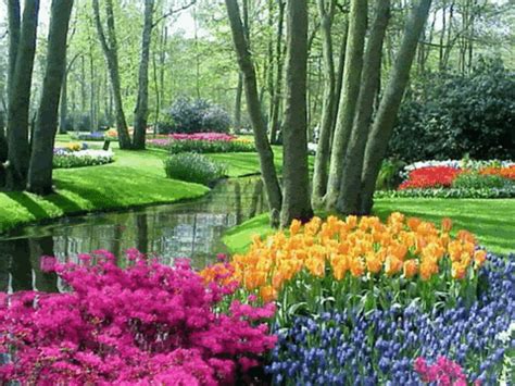 Do Al Giphy De Bul Ve Payla Most Beautiful Gardens Beautiful