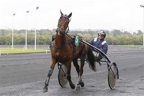 Partants Pmu Prix De Bretagne Amerique Races Pmu Q R C