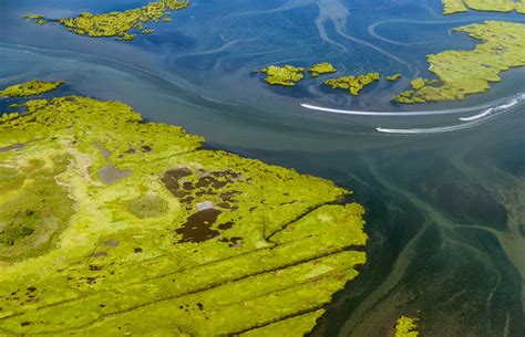 Ramsar Wetland City Accreditation - ICLEI Africa