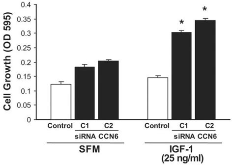 Ccn6 Inhibition Increases The Growth Of Human Mammary Epithelial Cells