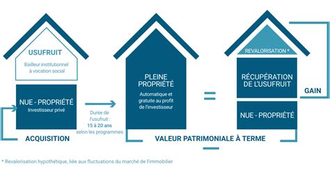 Nue Propri T Linvestissement Patrimonial Consultim Partners