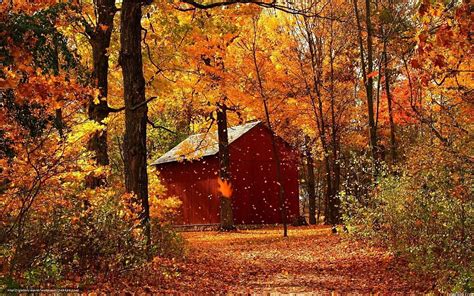 Indian Summer Lodge Defoliation Hd Wallpaper Pxfuel