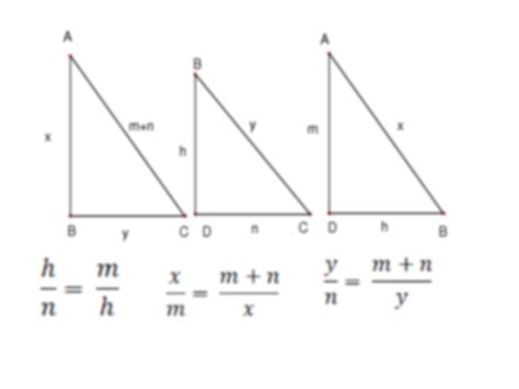 SOLUTION Semejanza De Tri Ngulos Rect Ngulos Studypool