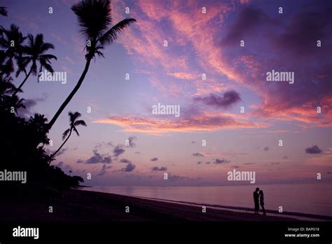 Purple sunset with palm trees Stock Photo - Alamy