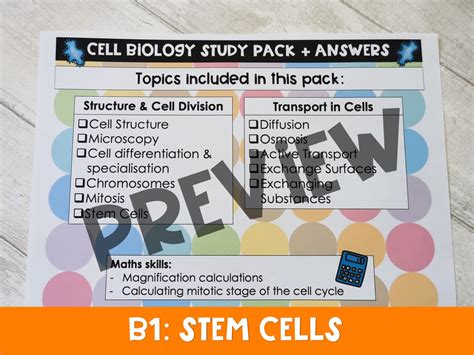 Aqa Gcse Biology Revision Stem Cells Teaching Resources