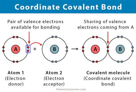 Dative Covalent Bond Examples : Dative Bonding, Co-ordinate Covalent Compound, Chemistry ... - A ...