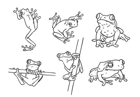 Download Scribble Green Tree Frog Vectors For Free Tatoeage Ideeën