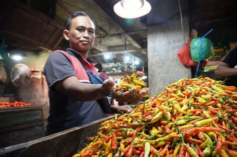 Pasokan Menipis Imbas El Nino Harga Cabai Rawit Dan Cabai Merah Besar