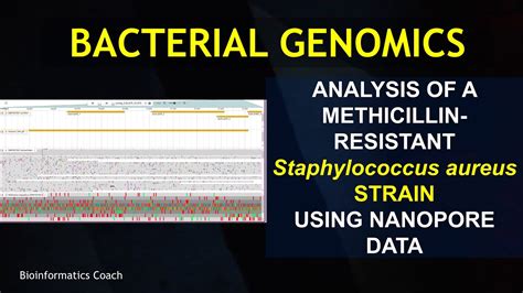 Whole Genome Sequence Analysis Bacterial Genome Analysis