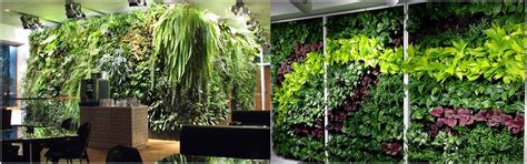 Planning Vertical Garden - Vertical Garden Design Considerations