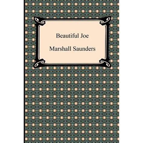 Beautiful Joe (Paperback) - Walmart.com - Walmart.com