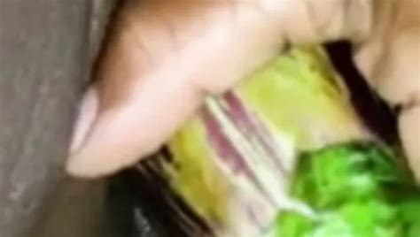 Patricia Cote D Ivoire Free Amateur Blacked Porn Video 6f XHamster