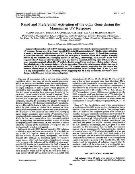 (PDF) Rapid and Preferential Activation of the c-jun Gene during the ...