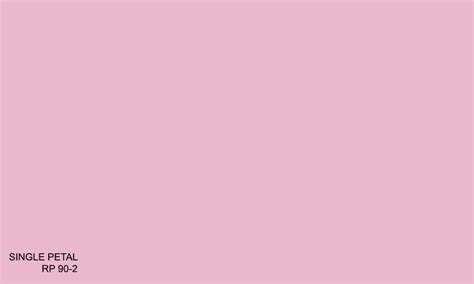 SINGLE PETAL RP 90-2 (R.BABY) – Raffles Paint Pte Ltd