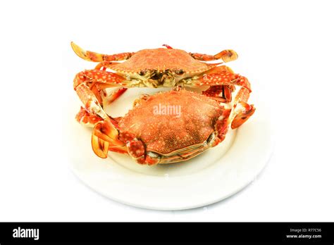 Steam Crab Isolated On White Background Cooked Crab Steamed Seafood