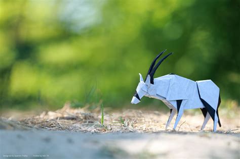 Oryx Origami アート オブジェ 折り紙