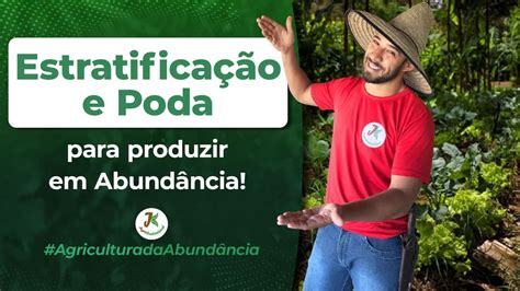 Estratifica O E Poda De Forma O Da Mangueira Para Produzir Em