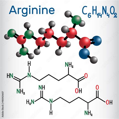 FotoMural Arginine Arg R Amino Acid Molecule It Is Used In The