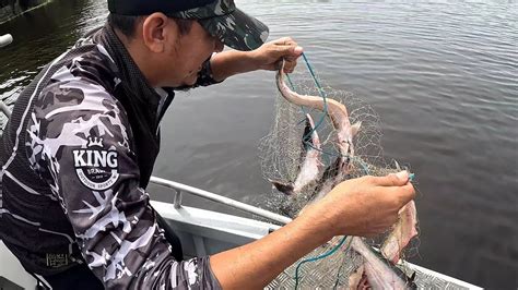 Pescando Mapar De Malhadeira Acertamos O Cardume No Amazonas Youtube