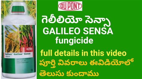 DUPONT GALILEO SENSA FUNGICIDE FYLL DETAILS IN TELUGU BB Agriculture