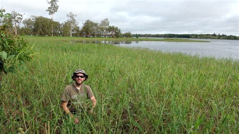 The Lake Murray Monster Of Png Genesis Park