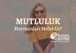 Mutluluk Hormonu Olarak Bilinen Hormon 2023 İnceleme