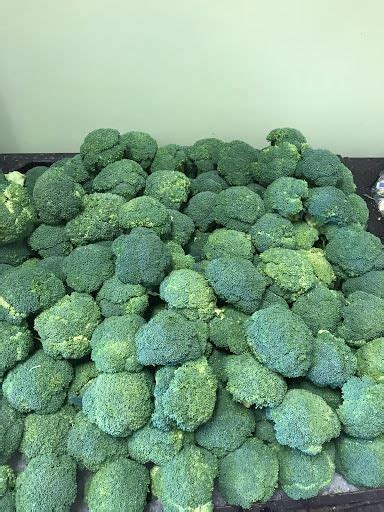 Perrines Produce Broccoli Crowns 59¢ Lb While Supplies Last