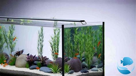 How To Turn An Aquarium Into A Reptile Terrarium In Easy Steps