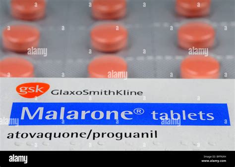 Malarone, anti malaria tablets, Malarone Stock Photo - Alamy