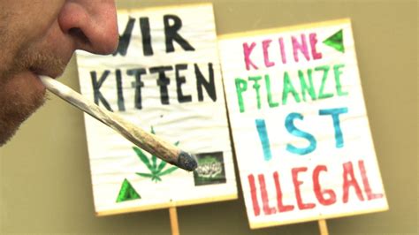 Legal Kiffen Kritik Von Cannabis Social Clubs Ndr De Nachrichten