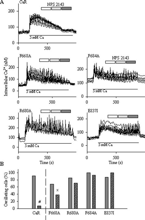 Effect Of Calcilytic Nps On Car Mediated Intracellular Ca