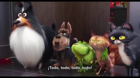 La Vida Secreta De Tus Mascotas Trailer HD Subtitulado YouTube