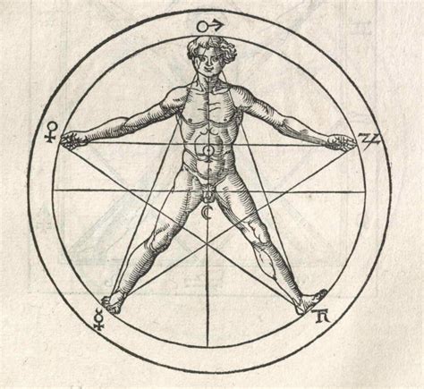 Diagrams demonstrating the “divine” proportions of the human body - Eve ...