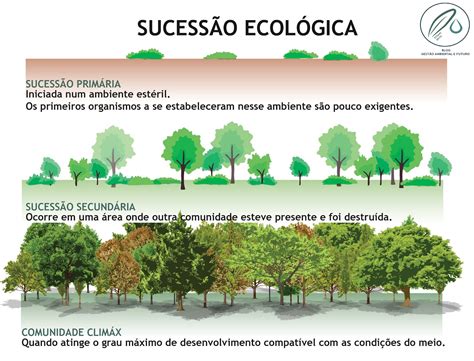 Gestão Ambiental e Futuro Sucessão Ecológica